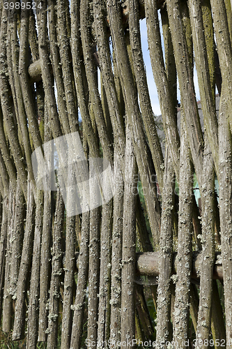 Image of fence of twigs