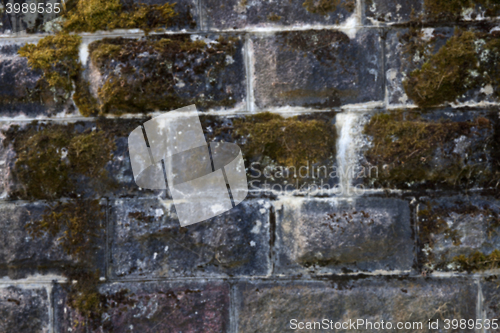 Image of Old brick wall