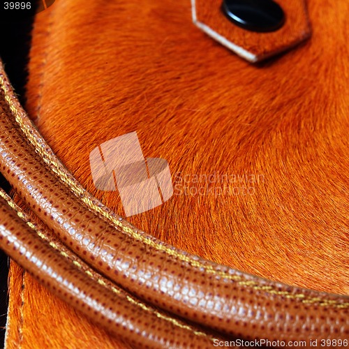 Image of horse leather bag