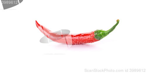 Image of red hot chili pepper isolated