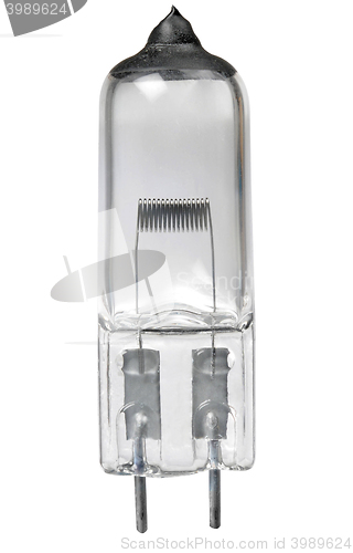 Image of small transparent halogen lamp 