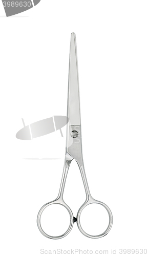 Image of Professional Haircutting Scissors