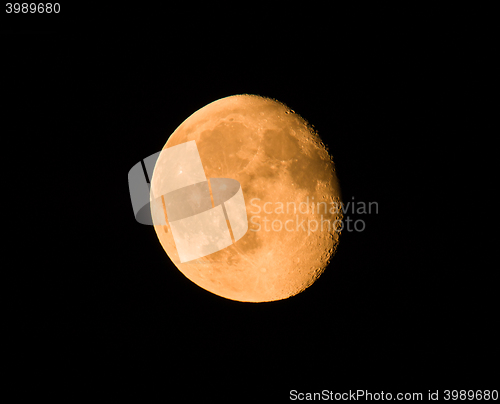 Image of Gibbous Moon