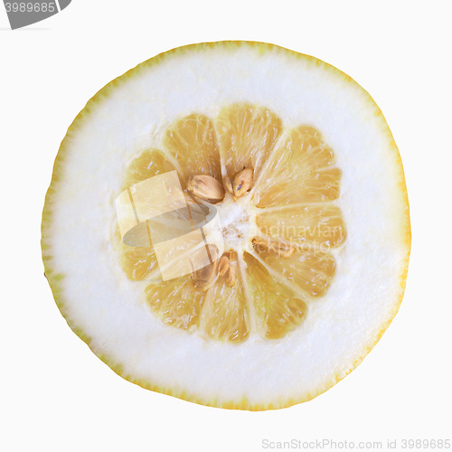 Image of Citron citrus fruit