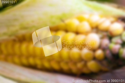 Image of agricultural field, Defocus