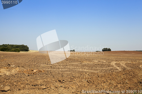 Image of plowed agricultural field