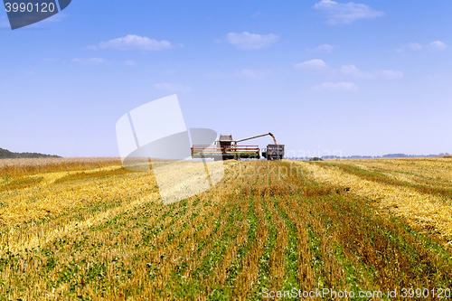 Image of Harvester in the field