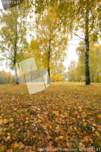 Image of autumn in the park