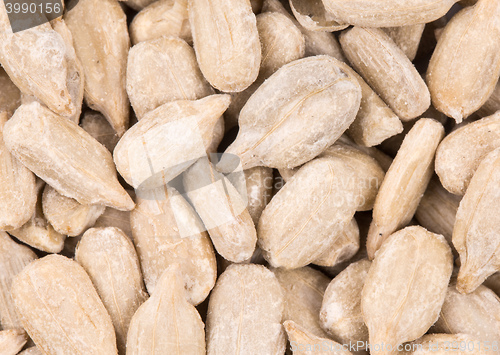 Image of fresh sunflower seeds