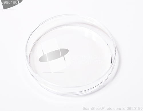 Image of Dish, petri isolated on white