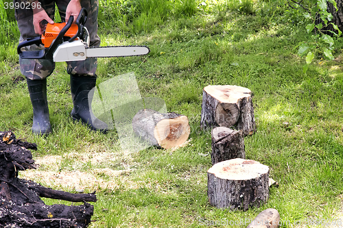 Image of People at work: man sawing trees.