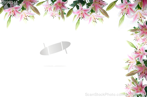 Image of lily flowers composition frame