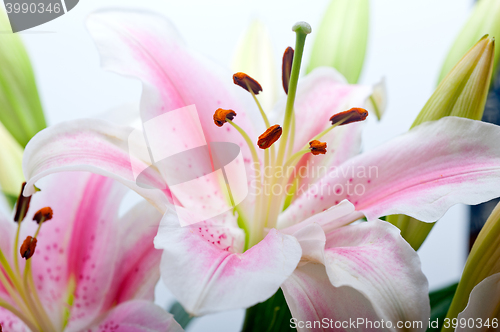 Image of pink lily flower bouquet