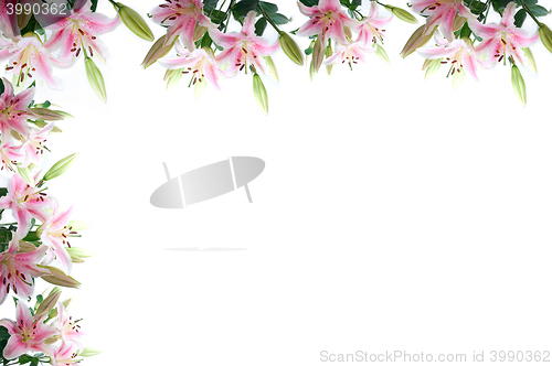 Image of lily flowers composition frame