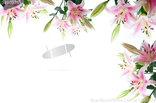 Image of lily flowers composition frame