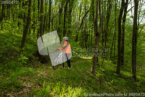 Image of Biker on the forest road