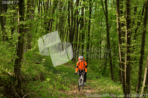 Image of Biker on the forest road