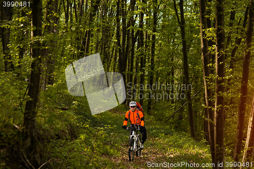 Image of Biker on the forest road