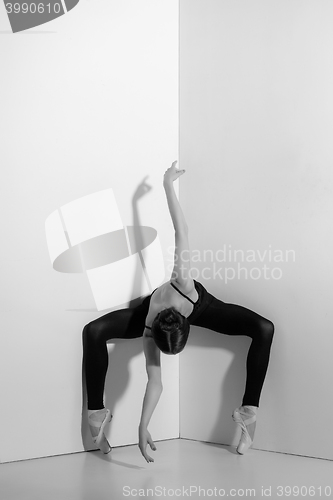 Image of Ballerina in black outfit posing on pointe shoes, studio background.