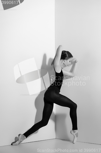 Image of Ballerina in black outfit posing on pointe shoes, studio background.