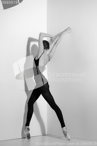 Image of Ballerina in black outfit posing on pointe shoes, studio background.