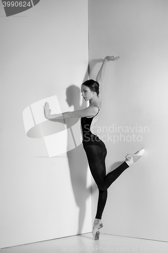 Image of Ballerina in black outfit posing on pointe shoes, studio background.