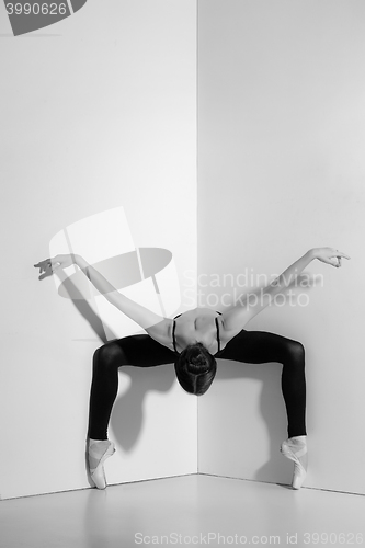 Image of Ballerina in black outfit posing on pointe shoes, studio background.