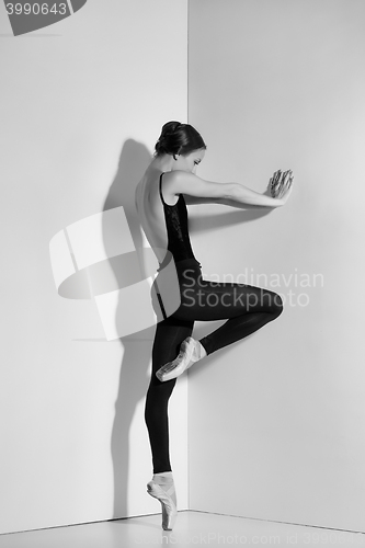 Image of Ballerina in black outfit posing on pointe shoes, studio background.