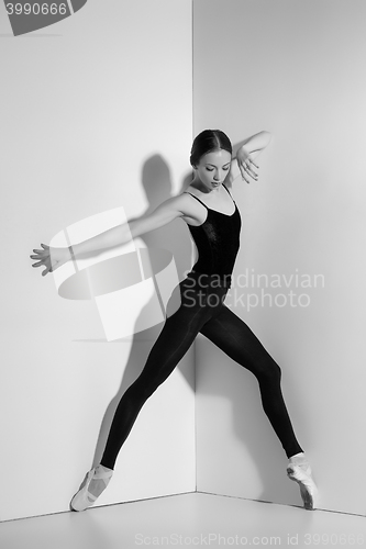 Image of Ballerina in black outfit posing on pointe shoes, studio background.