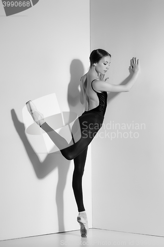 Image of Ballerina in black outfit posing on pointe shoes, studio background.