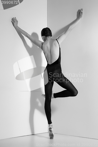 Image of Ballerina in black outfit posing on pointe shoes, studio background.