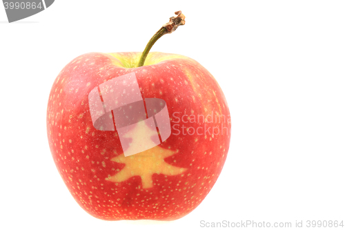 Image of apple with christmas symbols