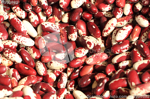 Image of violet beans texture