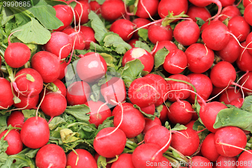 Image of red radishes background