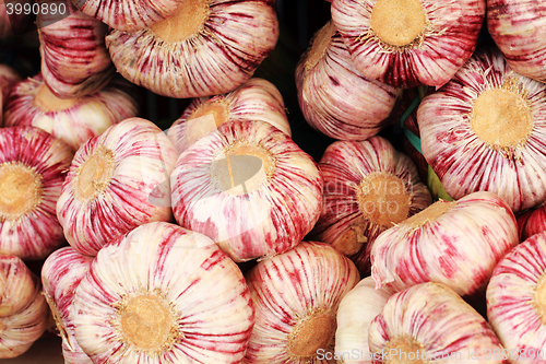 Image of fresh garlic background 