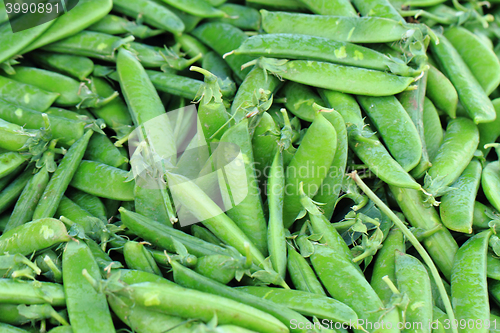 Image of green pea backround
