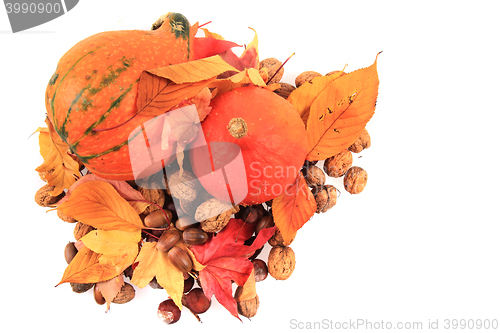 Image of autumn pumpkins and leaves isolated
