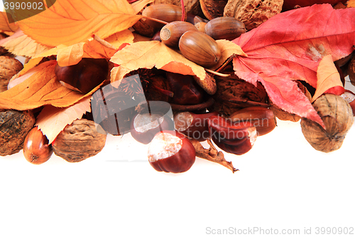 Image of autumn acorn and other autumn souvenirs