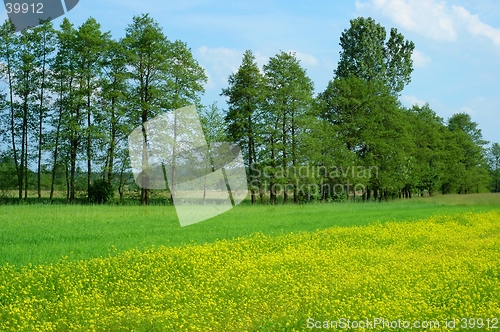 Image of Spring Landscape