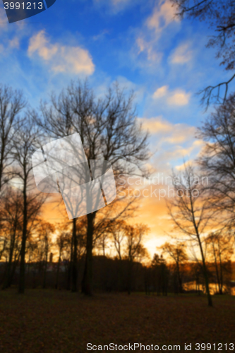 Image of Park at sunset