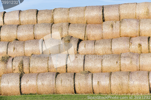 Image of stack of straw in the field