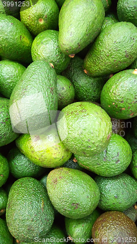 Image of Fresh green avocado on a market