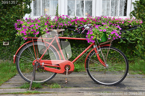 Image of Bicycle is red with the small basket 