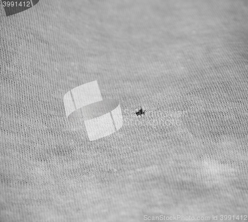 Image of Hole in fabric