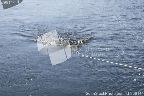 Image of Fishing net dragged through the water