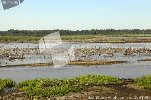 Image of moorland, summer time