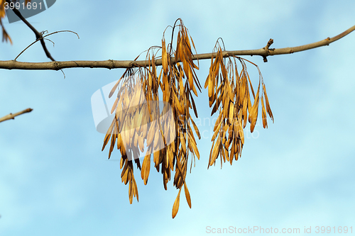 Image of autumn in the park