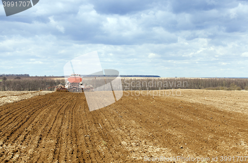 Image of Planting of cereal crops