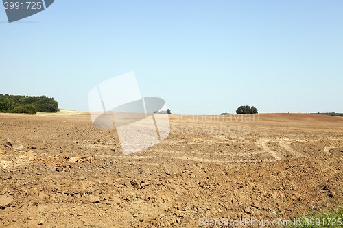 Image of plowed agricultural field