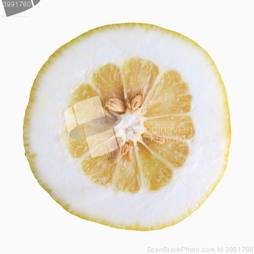 Image of Citron citrus fruit